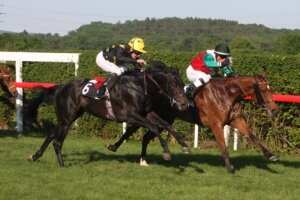 Markus Kolb mit Vuvuzela