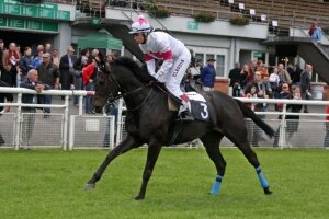 Claudia Wendel mit Royal Sadler