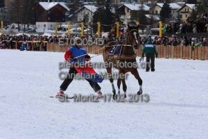 Adrian von Gunten mit Mombasa