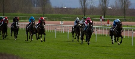 Lukas Kasal mit Romanofsky