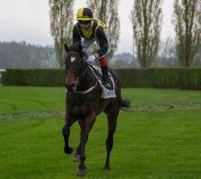 Olivier Placais mit Amber Fire