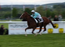 Tim Bürgin mit Aladin